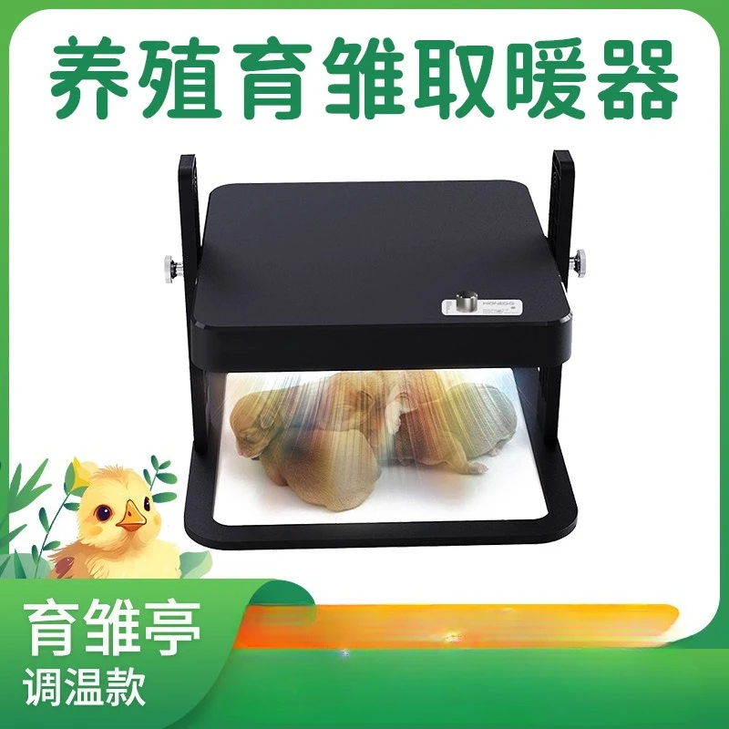 Adjustable temperature suspension bridge brooding pavilion chick heating plate height brooding chicks duckling