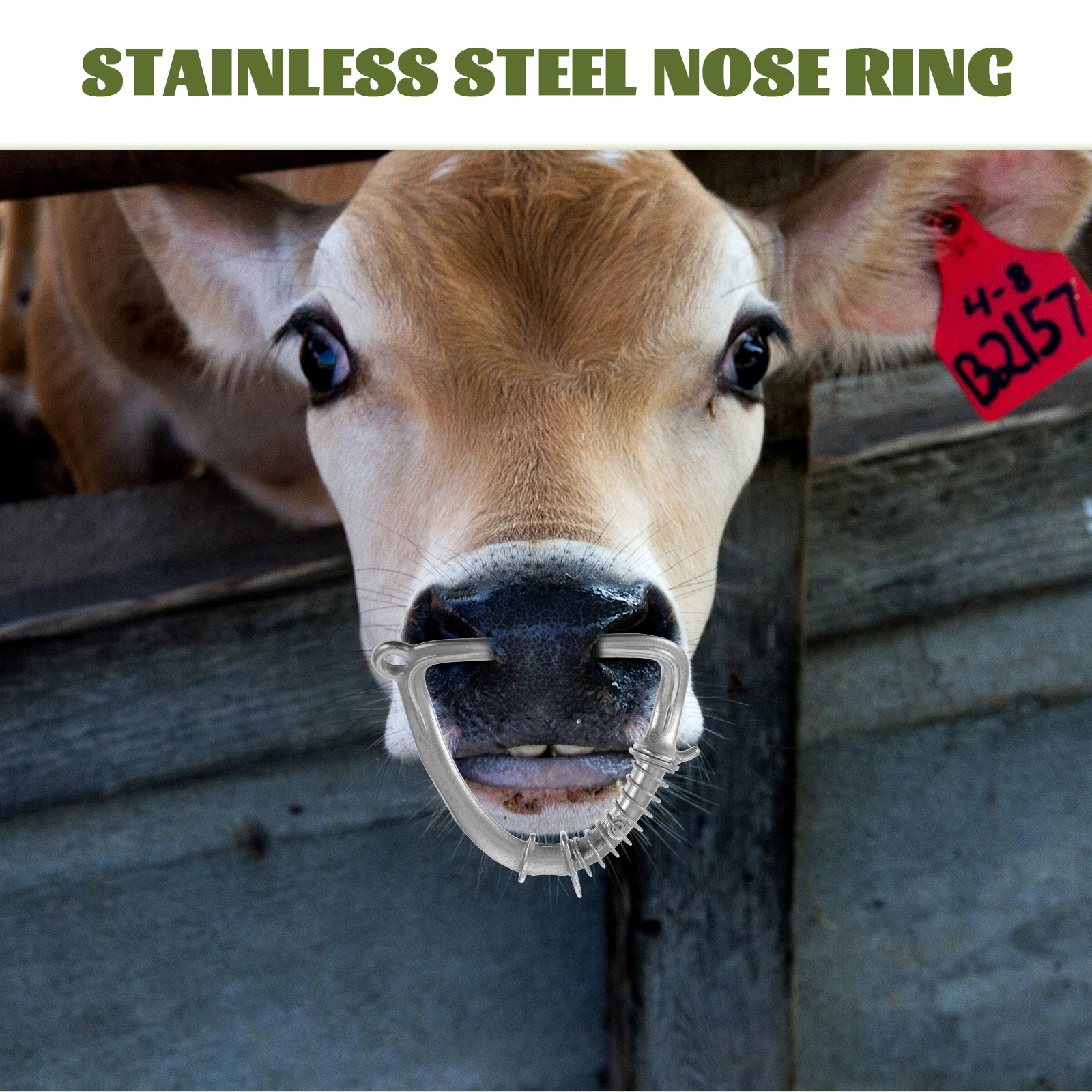 Stainless Steel Livestock Nose Clip Durable Metal For Cow Traction Spring Design Professional Tool Cattle Accessories Cattle