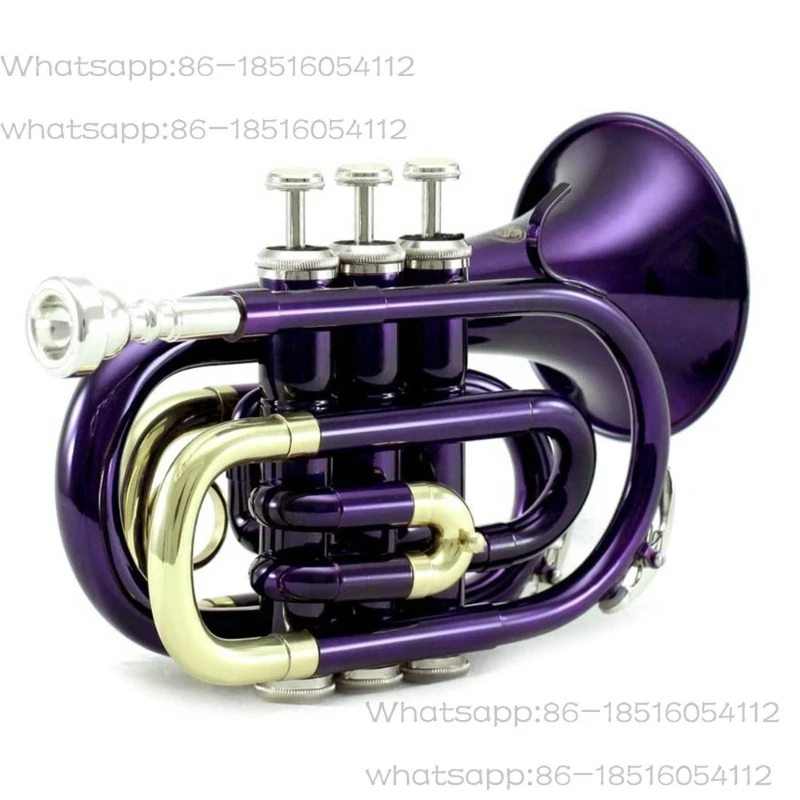 Mini Pocket Trumpet in B flat OEM Brass Instrument Beginner Professional Exam Instrument