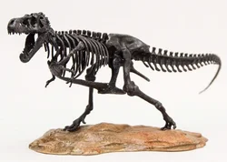 1/72 Tyrannosaurus Trex Skeleton Model T-Rex Dinosaur Animal Figure Collector Decoration Gift Adult GK Toy