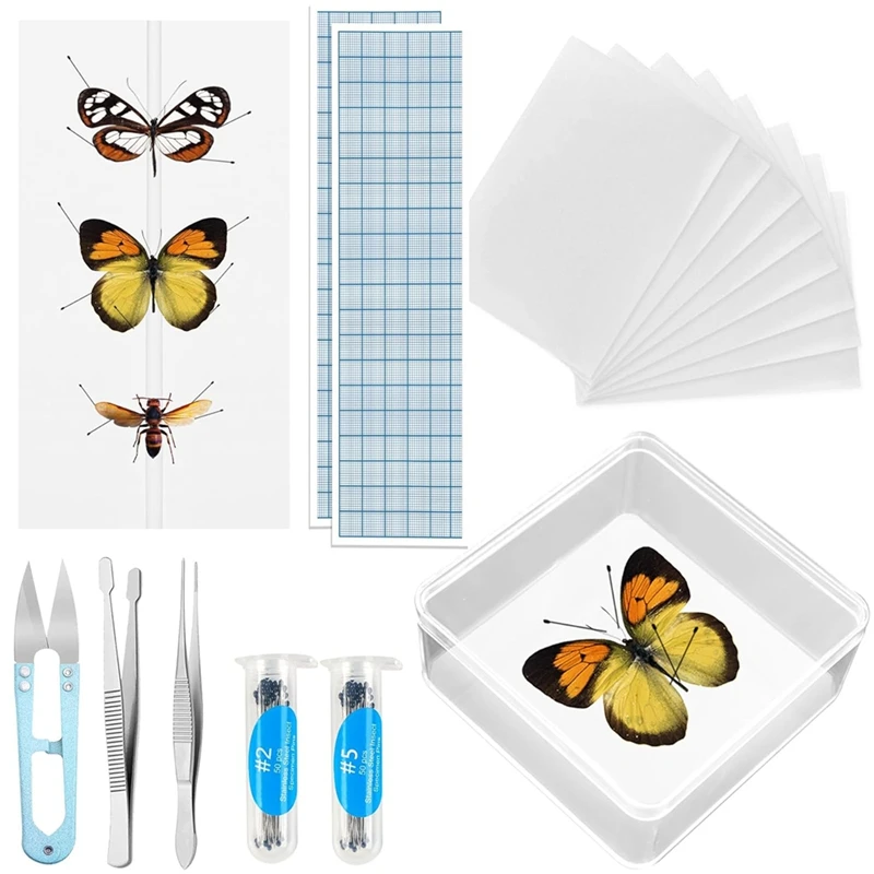 HOT SALE Insect Specimen Pinning Kit, Making Butterfly Specimen Tools For Science Education, Specimen Collection And Enthusiasts