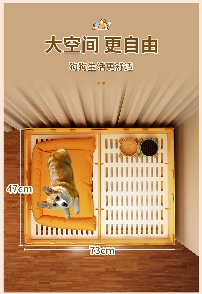 Petit chien Teddy FN...