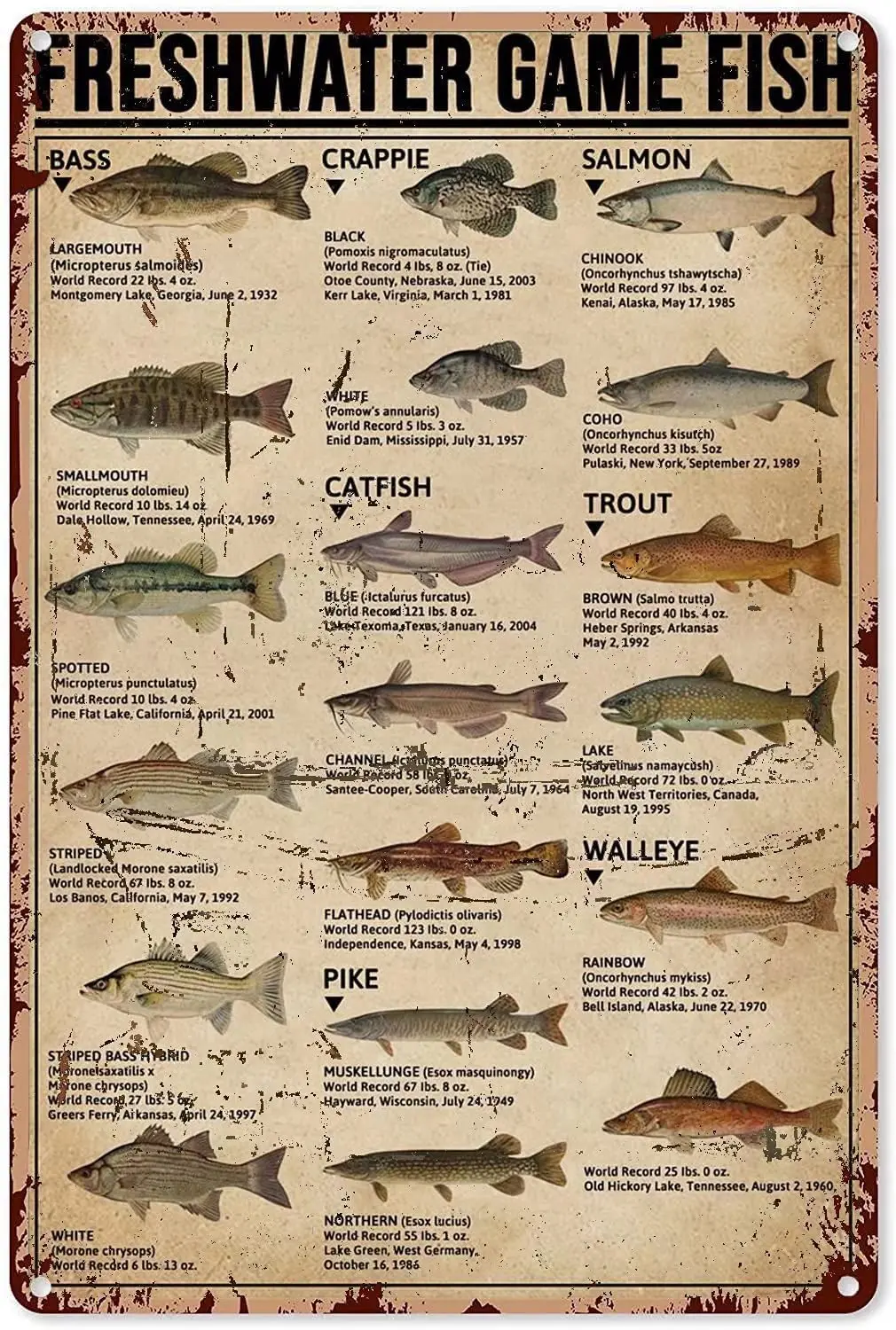 Fish Aluminum Metal Sign,Freshwater Game Fish,Wall Decor Poster Home Bedroom Kitchen Bar Home Cafe 8x12 Inch