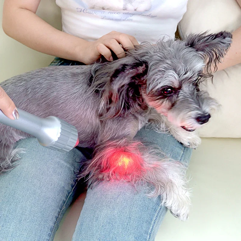 Customizable Veterinary Therapy Device 635nm 810nm 915nm 980nm For Dogs And Cats