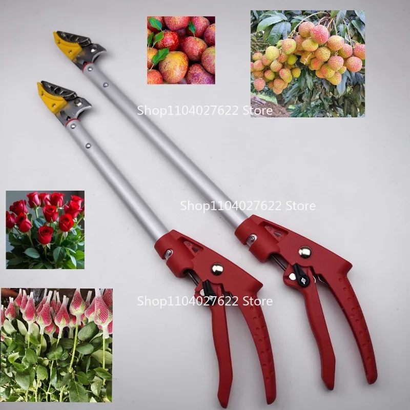 zum Heben und Schneiden von Rosen Gras und Rosen Spezialschere Neue Obst- und Gemüseschere Gartenschere Pflücken