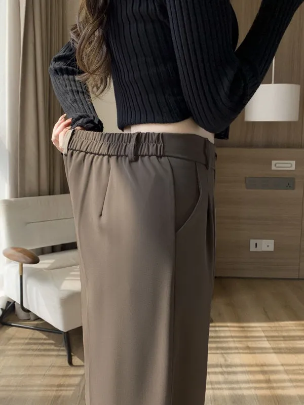 

High Waist Elastic Waist Suit Pants Women's Spring Autumn Winter Loose Wide Leg Straight Cut Casual Trousers Korean Sle