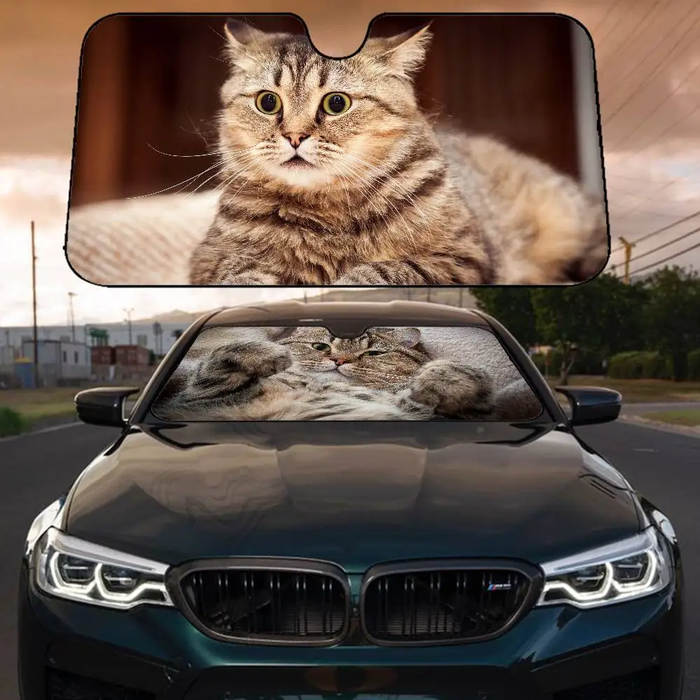 ذكي وأذى القط زجاج سيارة ظلة غطاء طوي السيارات الشمس الظل قناع نافذة الأشعة فوق البنفسجية عاكس إبقاء سيارة باردة