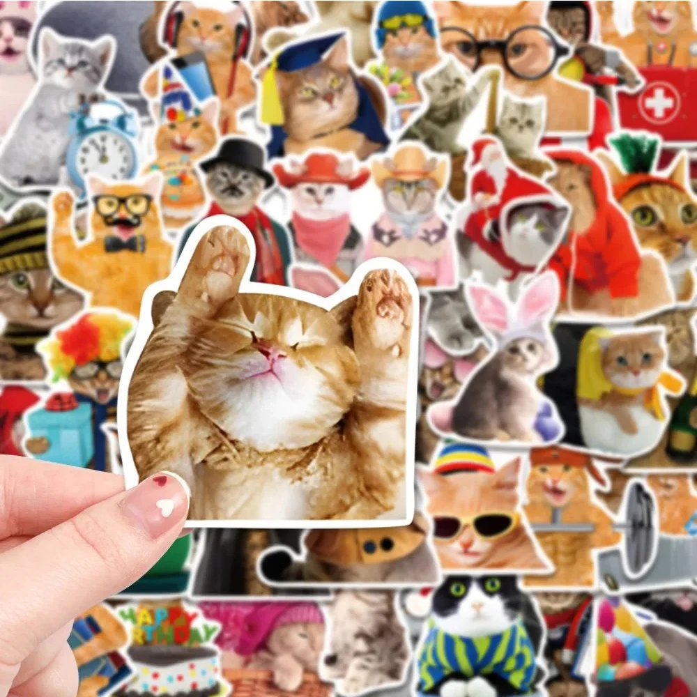 

10/30/50pcs Funny Animal Cat MEME Stickers Cute Cartoon Sticker DIY Motorcycle Luggage Helmet Phone Bike Waterproof Decals Decor