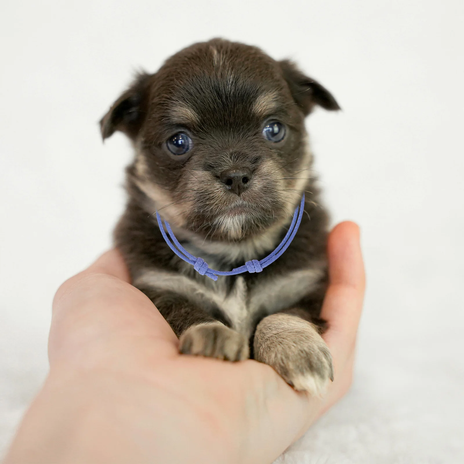 

20pcs Puppy Whelping 20 Colors Adjustable Soft Id Collars For Newborn Dogs Kittens Litter Management Identification Bands Pet