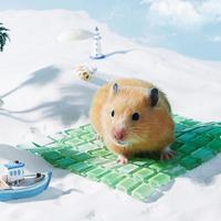 Rabbit Cooling Pad Hamster Summer Bed Ice Pad Pet Supplies Hamster Cooling Mat Pet Heat Dissipation Plate For Hamster Bunny