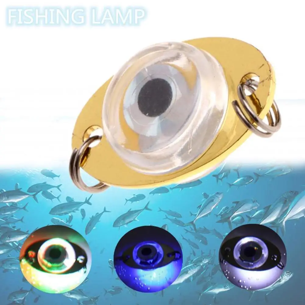 Fishing Lure Led Night Light Battery Powered Glow Underwater Lamp Fishing Eye Fish Fish Led Attracting Light Bait Underwate