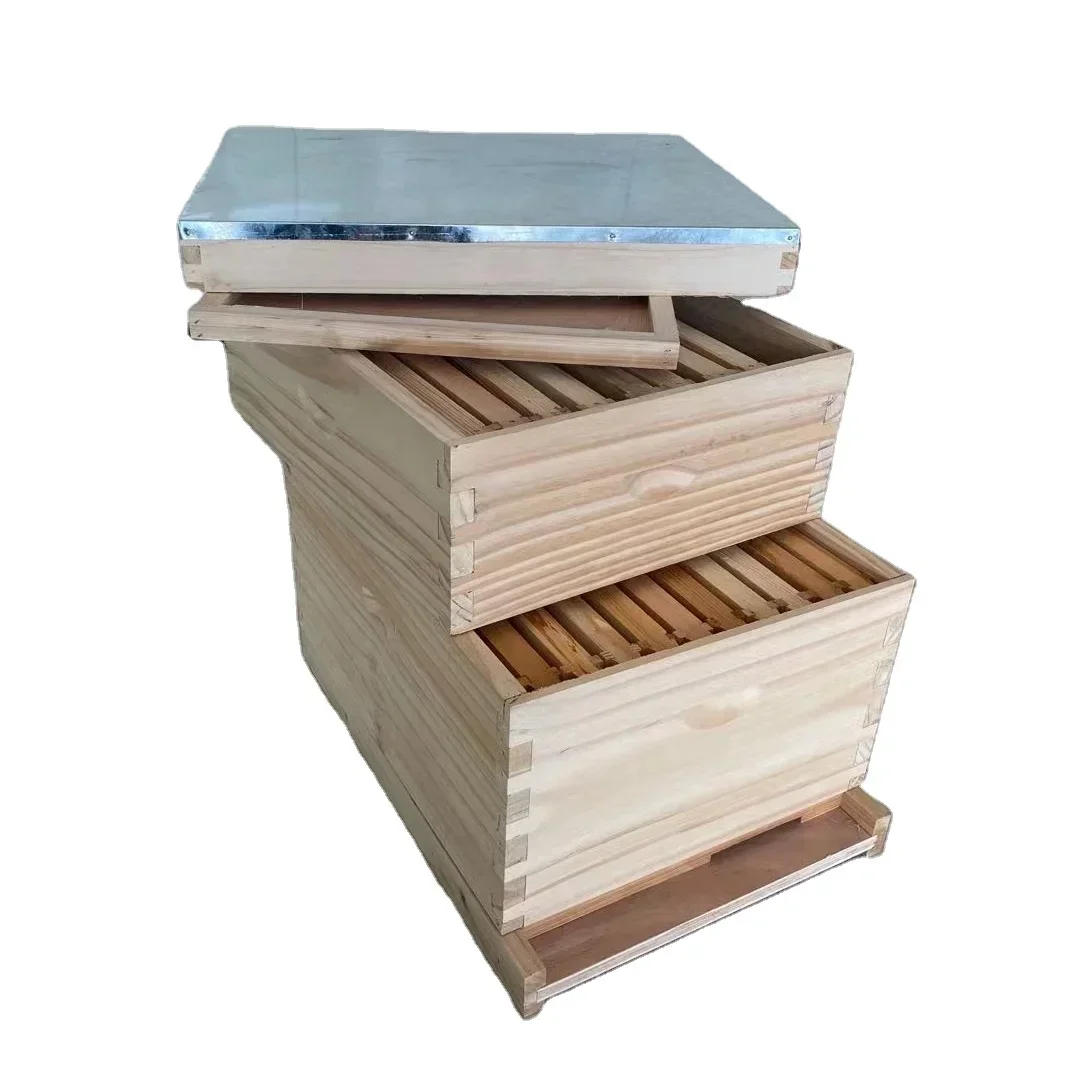 Chinese Bee Hives Wood Langstroth Hive 10 Frame Wooden Hives For Bees Beekeeping Equipment