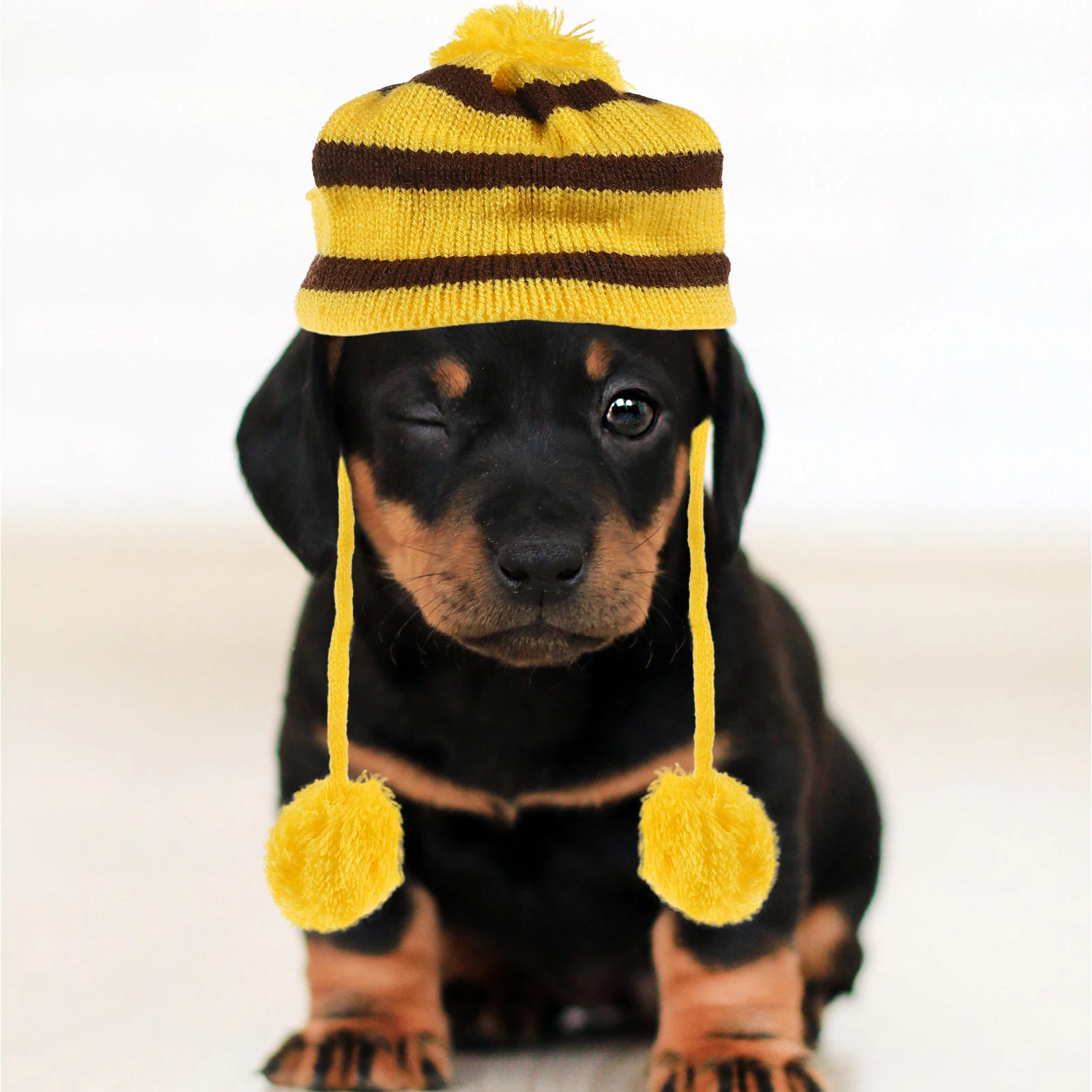 

1Set Pet Festival Stripe Clothes Dog Warm Costume Scarf Hat Set Knitted Winter Accessories Xxs Yellow Brown Party