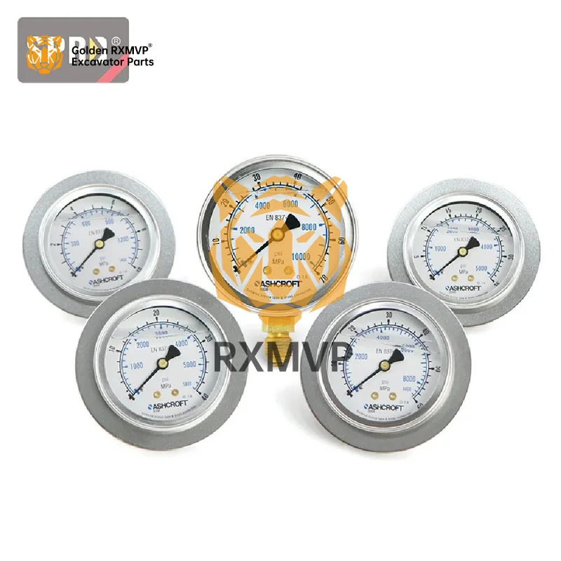 FOR ASHCROFT pressure gauge EN837-1 60MPA 5700PSI