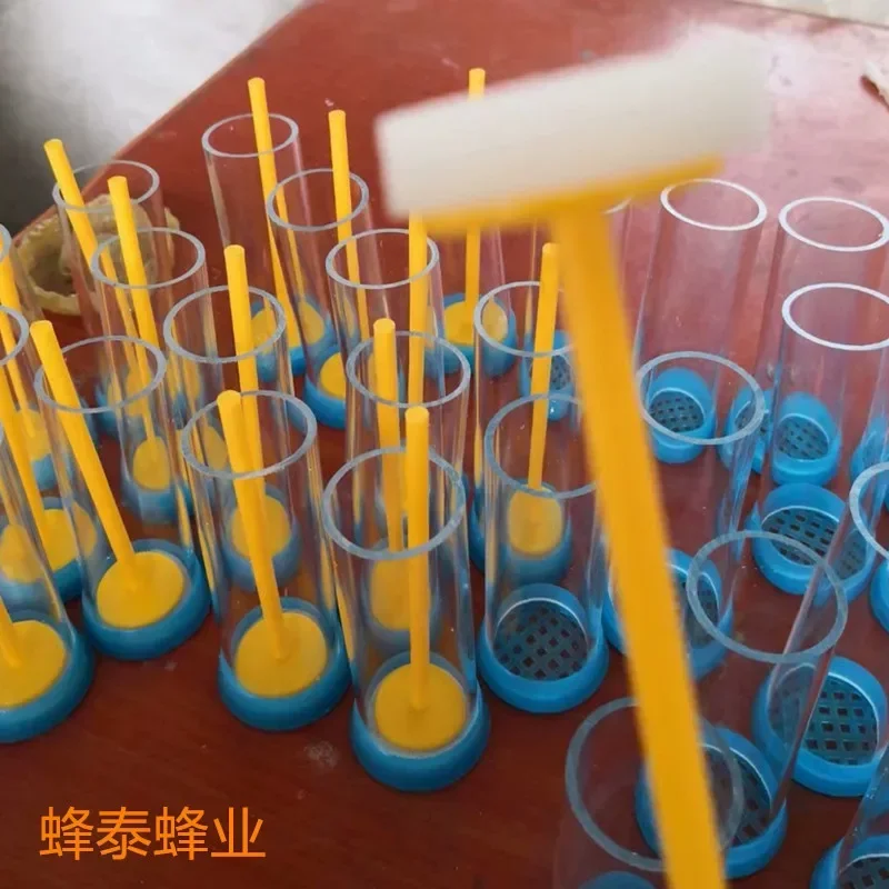 A Plastic Queen Bee Marks, Off-the-shelf, Flat, Wholesale Quality, Education King Bottle, Does Not Hurt Bee, 10 Pcs