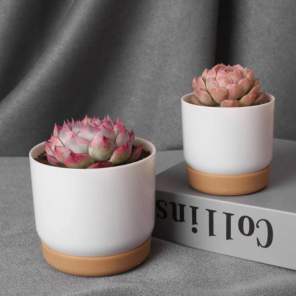 

Green Plant Simple Flowerpot Automatic Water Double-layer Self Storage Absorption Round Succulent Planter Pot Cute Ins Style