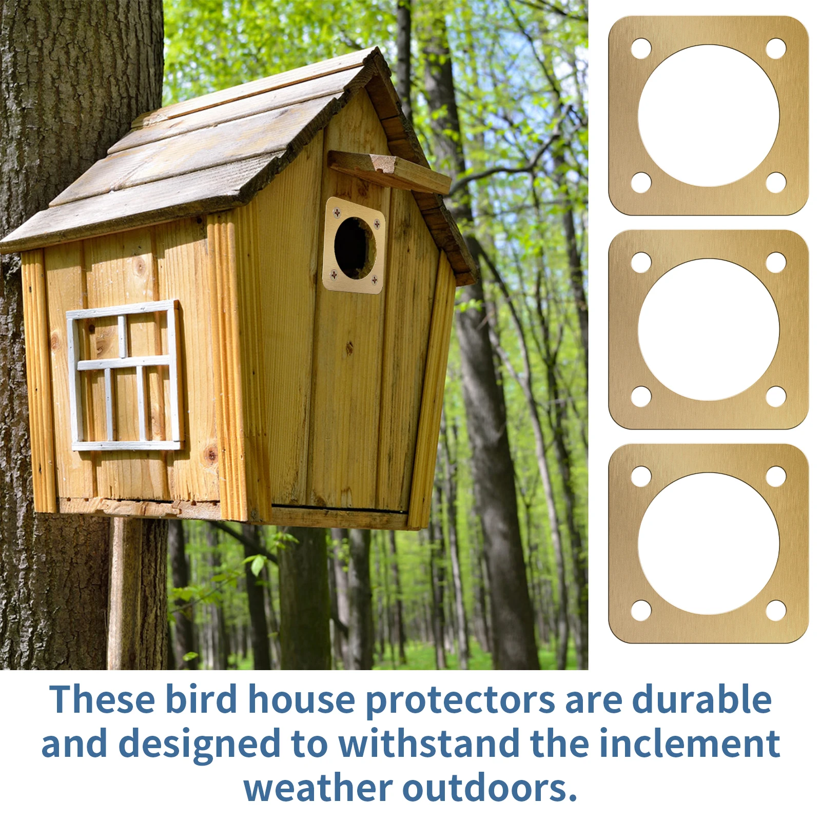 Thumbnail 3 - #9 Compare Birdhouses Before You Buy