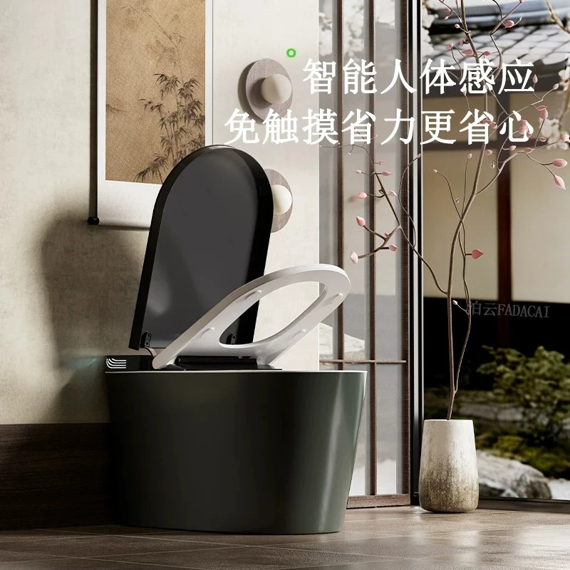For Smart toilet Fully automatic toilet flushing and drying Built-in water tank Foam shield Smart toilet