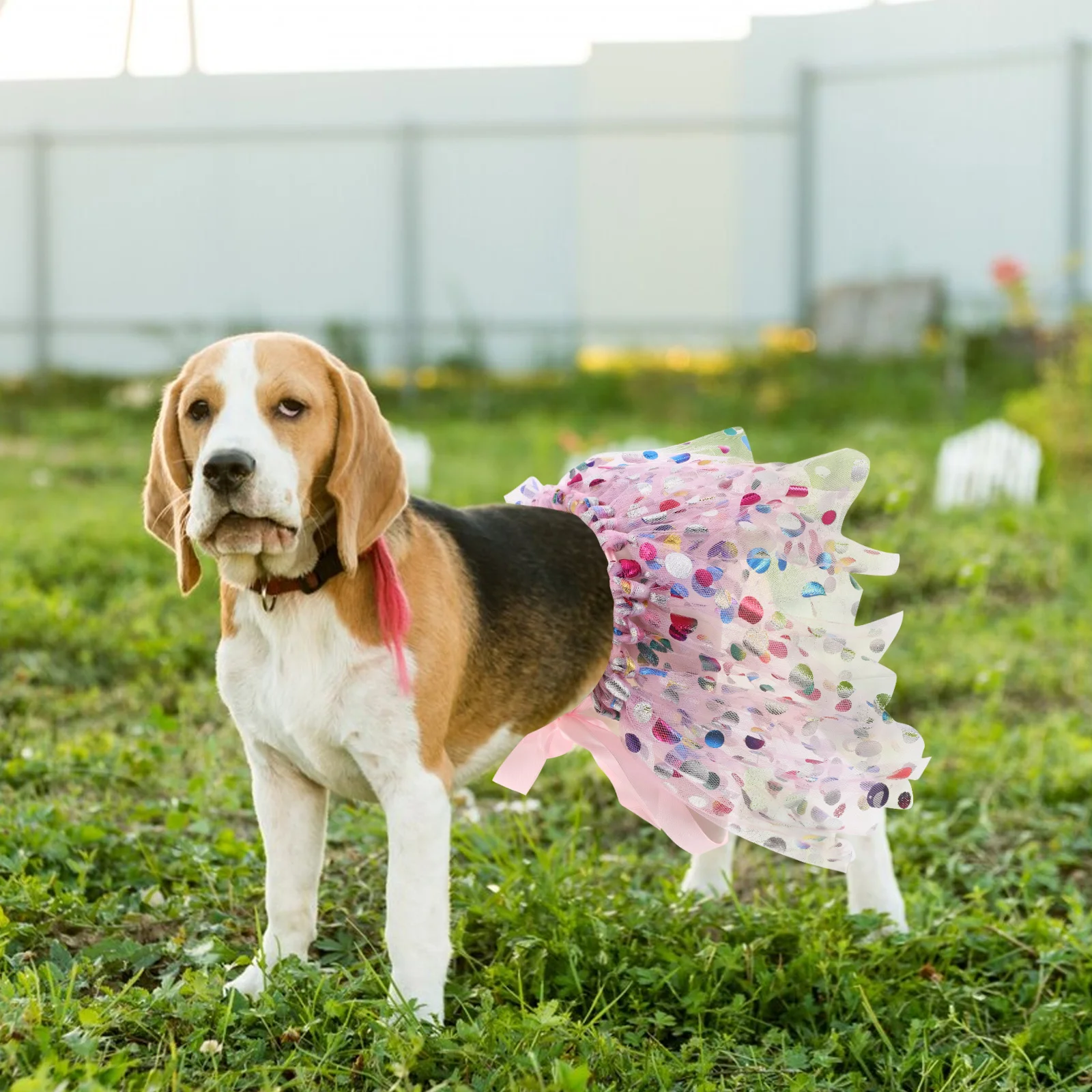 

Elegant Rainbow Dog Dress Colorful Lace Costume Princess Pet Outfit Breathable Mesh For Small Medium Large Dogs Wedding Birthday