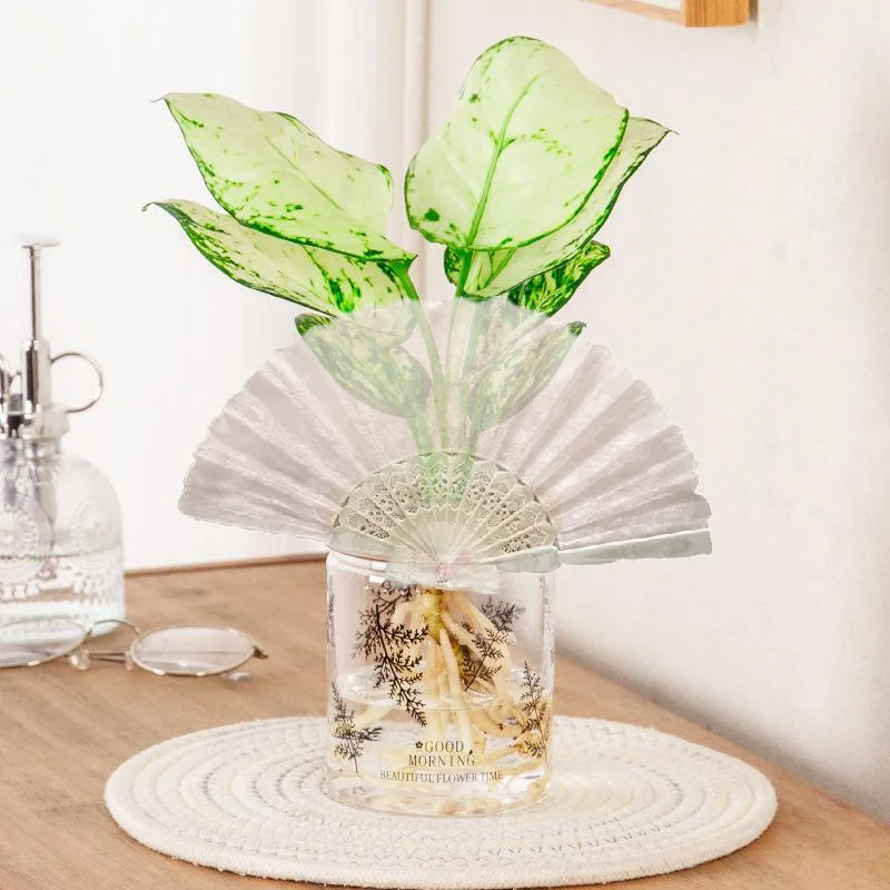 Food Safe Clear Gray Hydroponic Plastic Planter Fern Pattern Wood Lid for Home Office Fresh Herb Growing