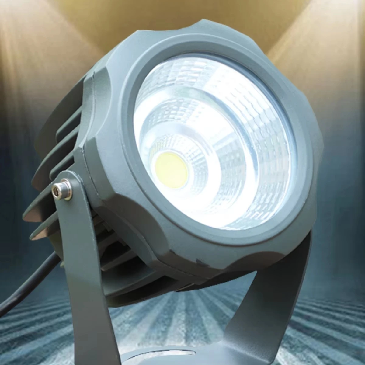 

Outdoor LED Cob Round Spotlight Aluminum Body Garden Shoot LDE Lights with AC Power Supply IP65 Rating