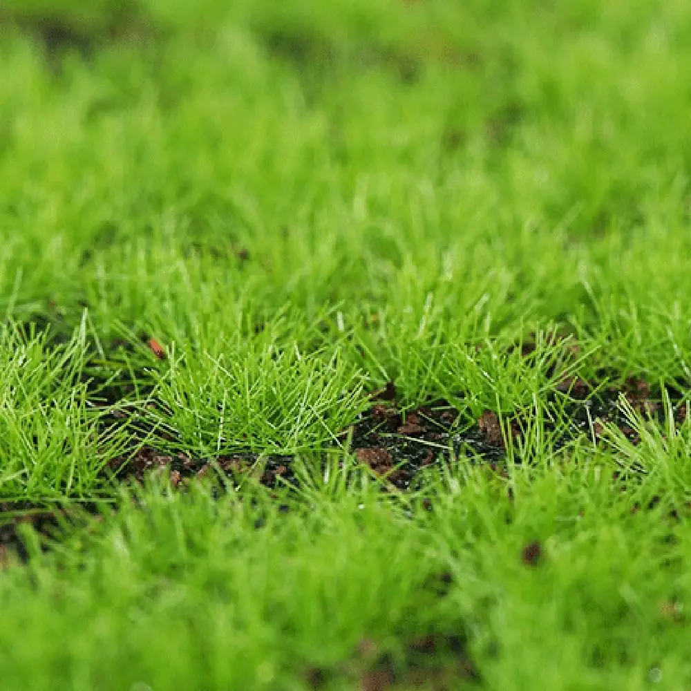 Artificial Plants DIY Fake Moss Grass Turf Durable Lifelike Simulation Moss Sheet Green 50*50cm Artificial Moss Carpet Gardens