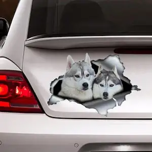 Siberian Husky sticker , car decoration, car sticker , Vinyl decal, siberian husky decal