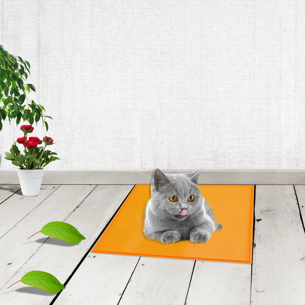 

2PCS Pet Feeding Mat Silicone Waterproof Dog Cat Bowl Placemat Heat Resistant Non Dishwasher Safe Coffee Color