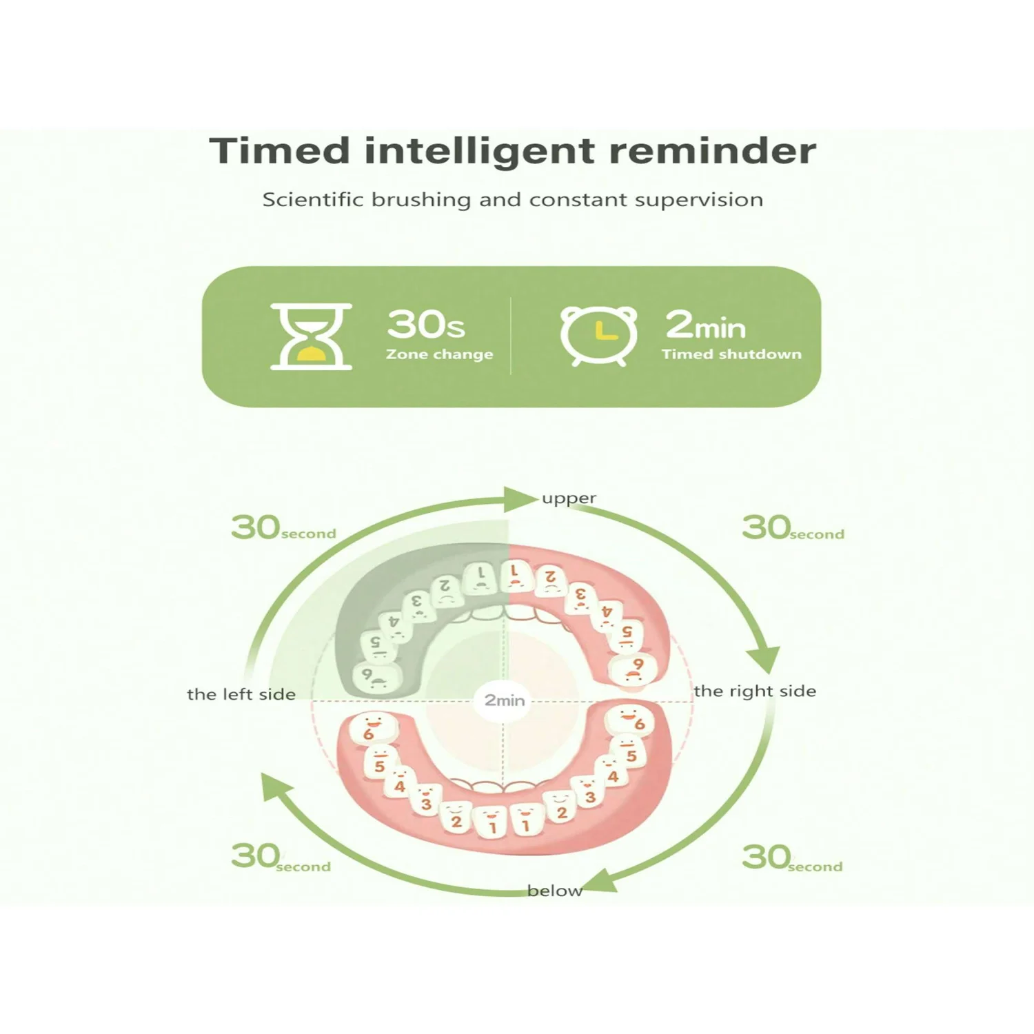 Rechargeable Toothbrush w/ 6 Levels & 6 Brush Heads