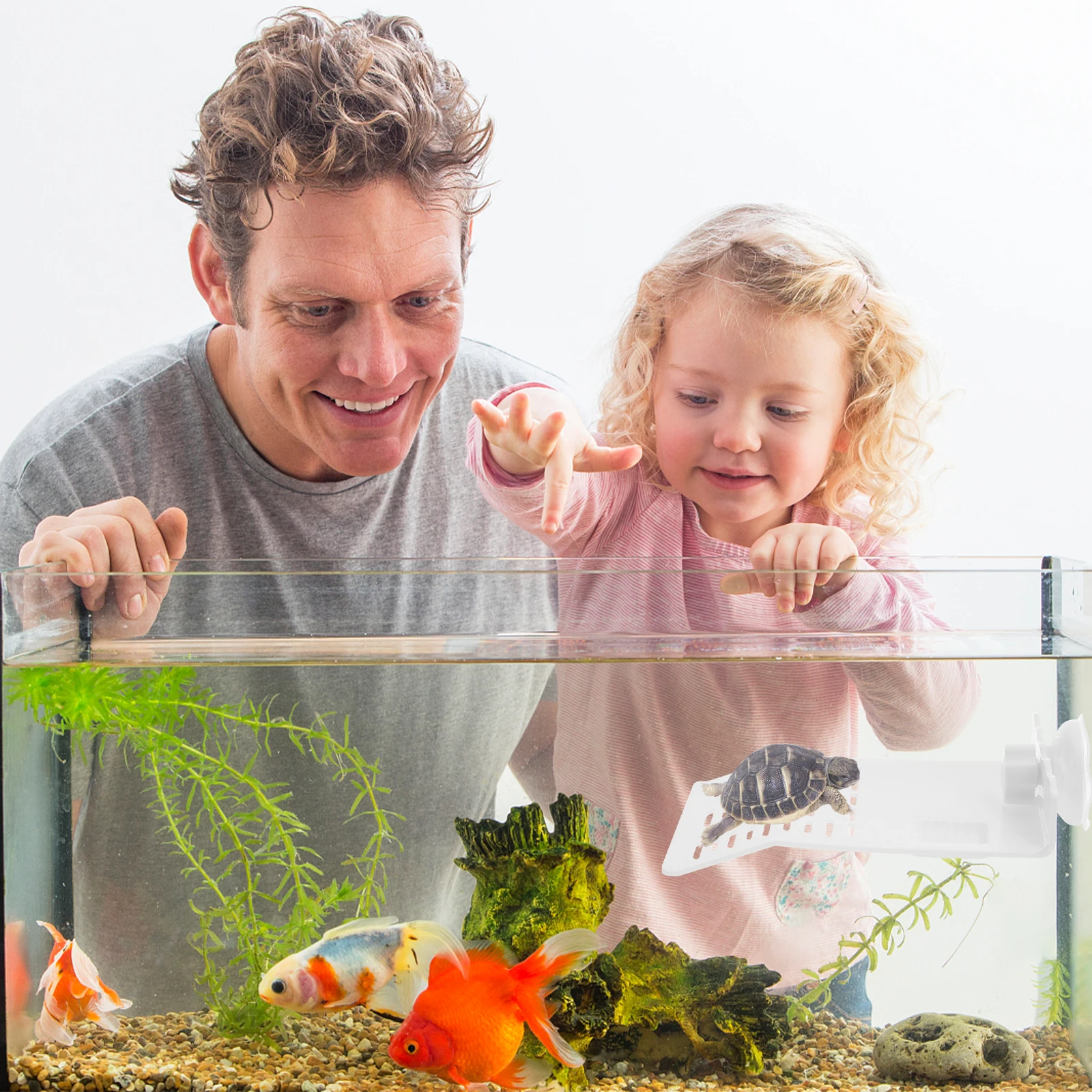 

2pcs Turtle Basking Platform Reptile Climbing Resting Abs Floating Dock Terrace for Aquarium Pet Decor Accessories