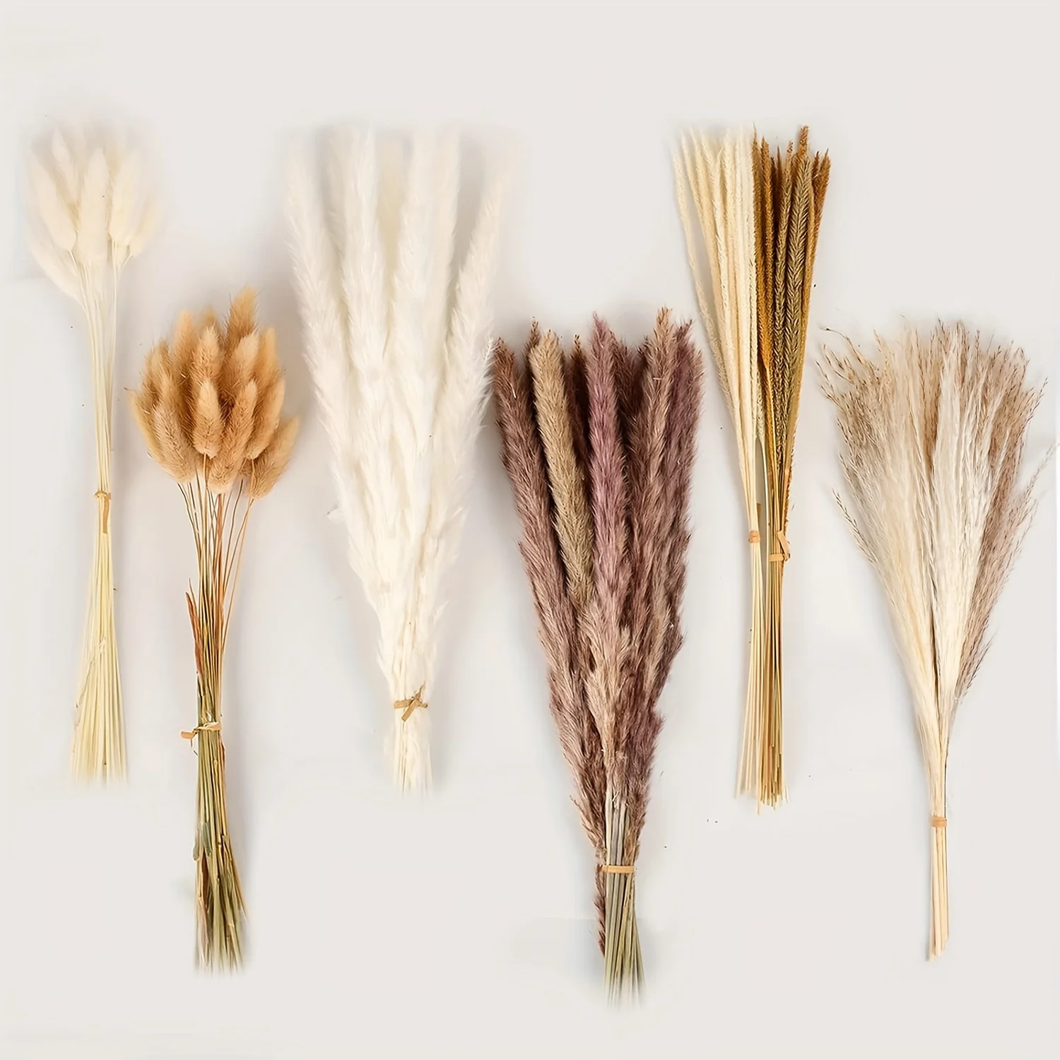 

Natural Dried Pampas Flower Wedding Floral Bouquet Fluffy Phragmites Bunny Tails Kirin Grass Home Table Vase Ornament Decoration