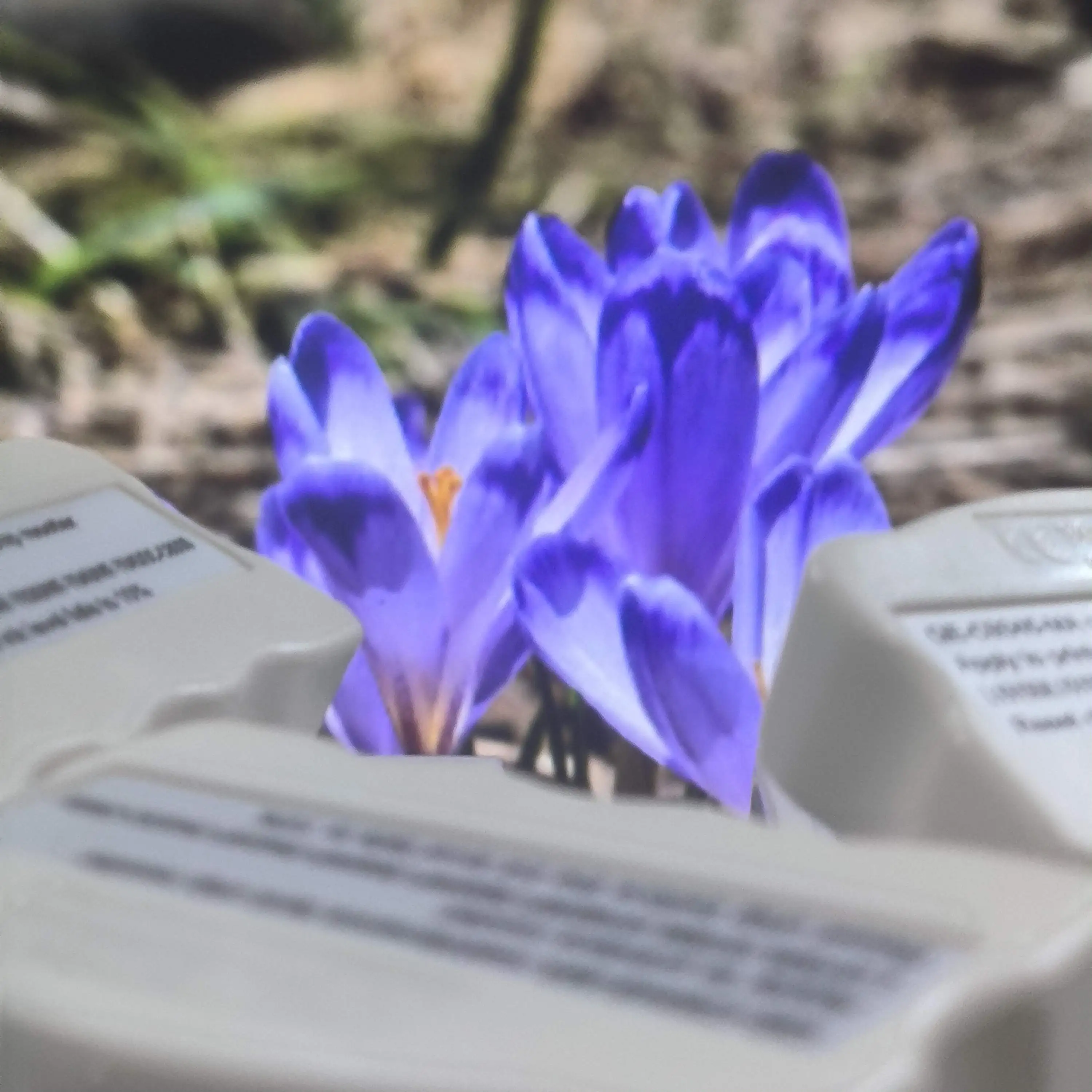 

C9345 C12C93459 Сброс чипа резервуара для обслуживания для Epson ET-8550 ET-8500 ET-16000 L8050 L15158 L15168 L15150 L15160 6558 c8000