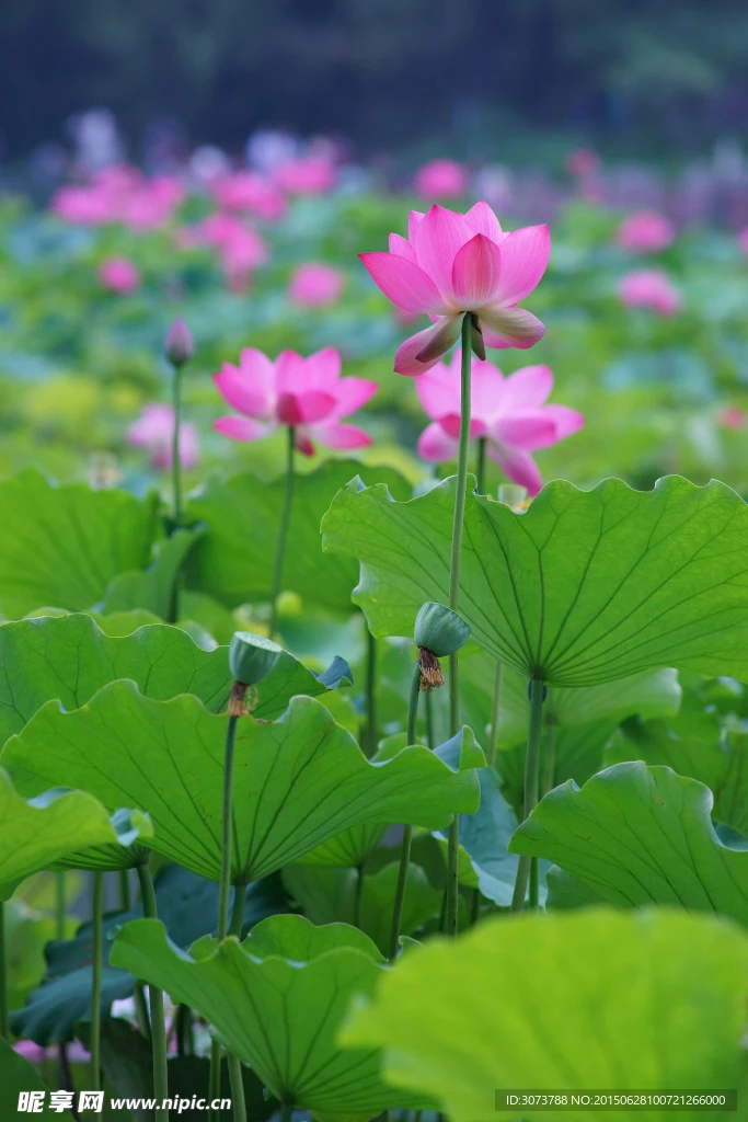 

RC Car Road Barriers Remote Control Car Accessories Drifting Race Track Barrier Traffic Splicing Stereo Roadblock Traffic Scene