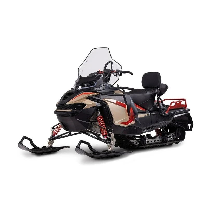 Motoneige 1000CC, toboggan, véhicule tout-terrain