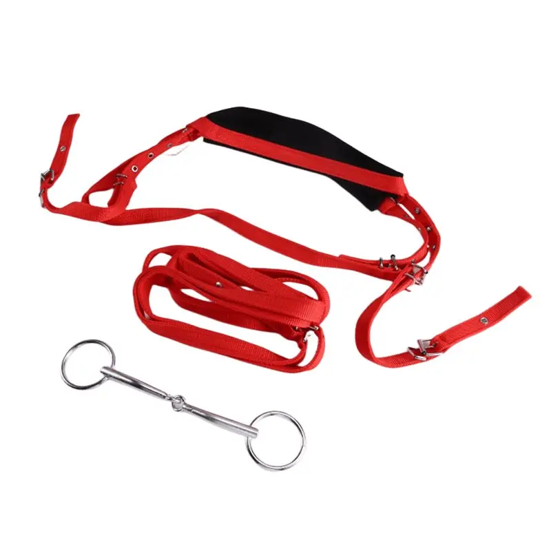 【SPECIAL】Equestrian Horse Bridle Rein Harness Adjustable Design Featuring High-Quality Materials And Multiple Buckles