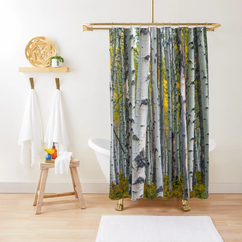 

Birch Trees in Autumn Shower Curtain Shower Set For Bathroom Cover Curtain