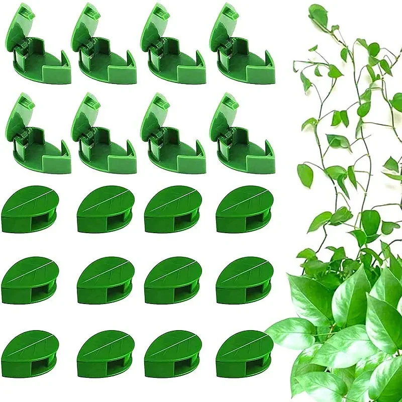 20Pcs Invisible Plant Climbing Wall Fixture Rattan Vine Bracket Fixed Buckle Leaf Clips Traction Holder Garden Tools