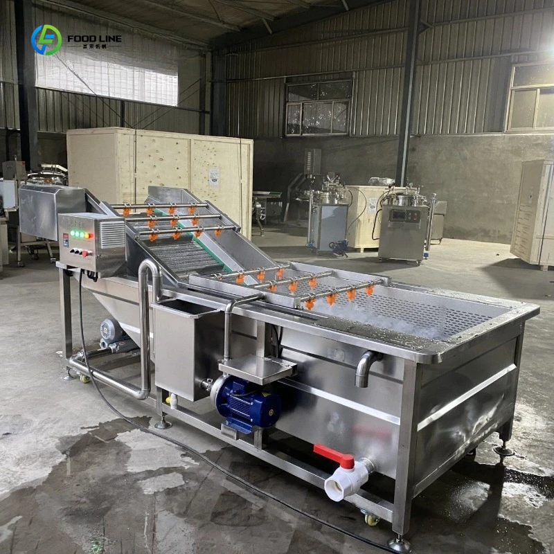Fruit and Vegetable Bubble Cleaning Machine Auto Fresh Produce Cleaning Machinery FL Customized