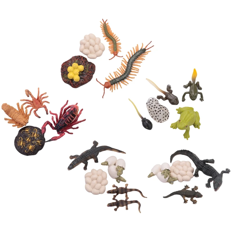 21 PCS Simulation Animals Growth Cycle Scorpion Centipede Frog Crocodile Life Cycle Models Figures Educational Kids Toys