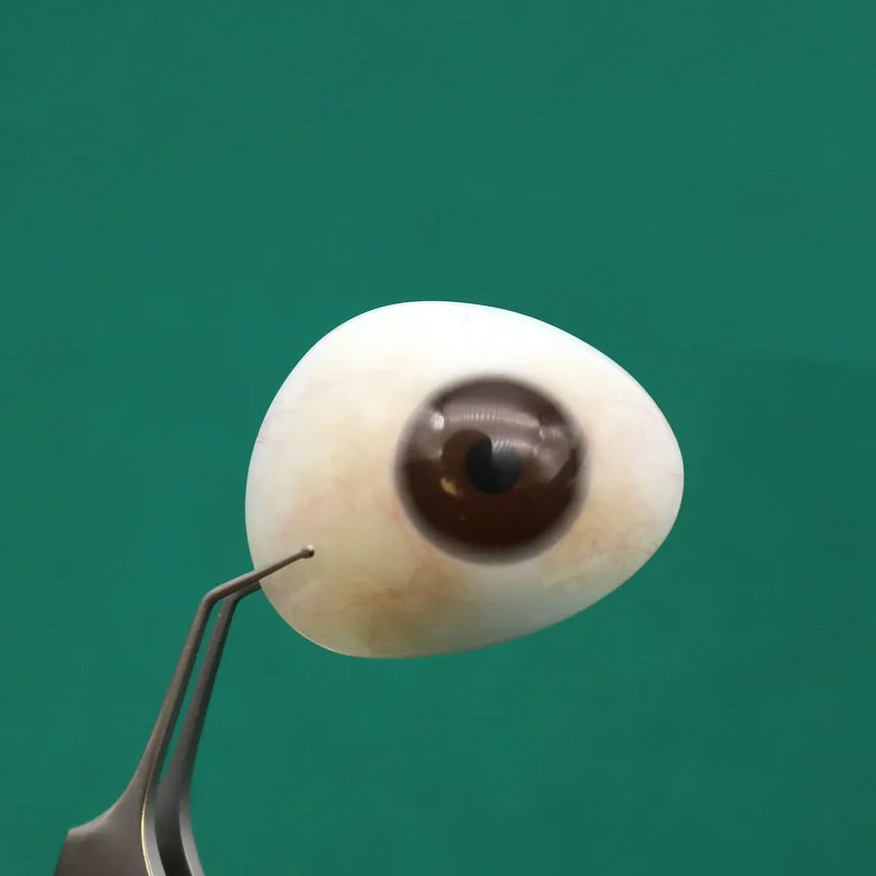 Molecular resin artificial eye patch for removal of atrophic eyeballs in humans wearing ultra-thin wax images to display simulat