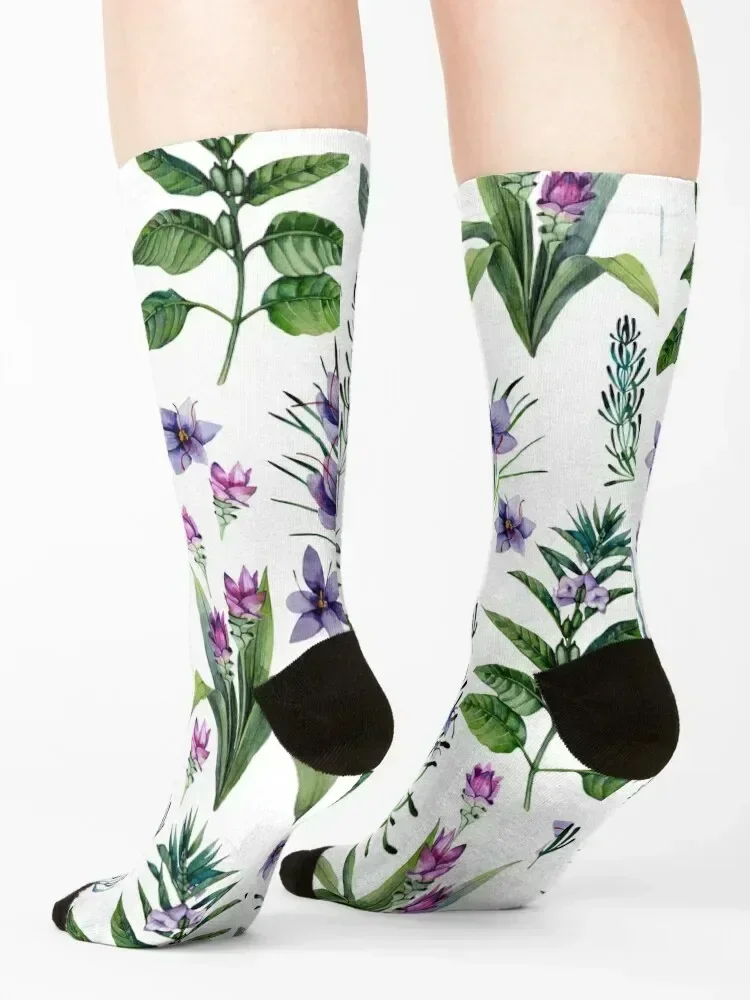Акварель ботаническая коллекция трав и специй Носки спортивные спортивные носки мужские носки женские