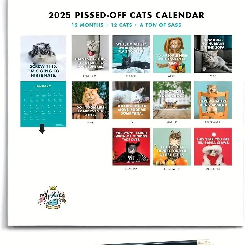 2025 New Kawaii Pissed-Off Cat English Calendar Wall Calendar Cute Desk Accessories Office Supplies Every Day Can Be Celebrated