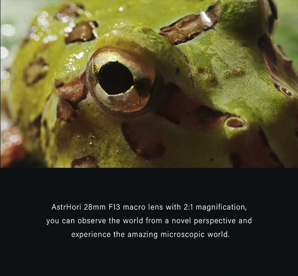 AstrHori 28มม.F13เลนส์ Macro 2x มาโคร Probe เต็มรูปแบบกันน้ำพิเศษเลนส์สำหรับ Canon Nizon Sony Built-In แหวนไฟ