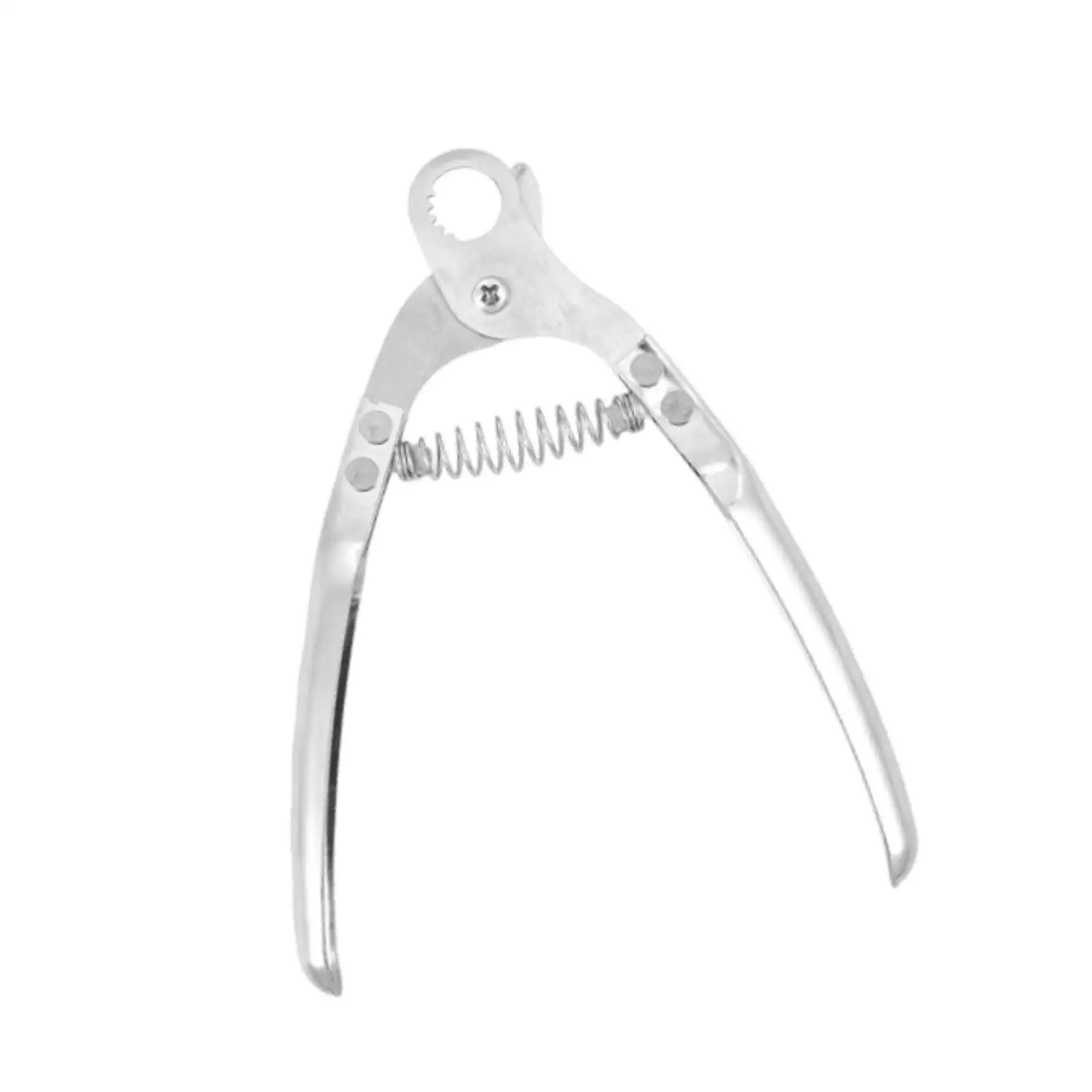Multifunctional Snail Tail Cutter Stainless Steel Manual Household Shellfish Scissors for Kitchen Travel Use