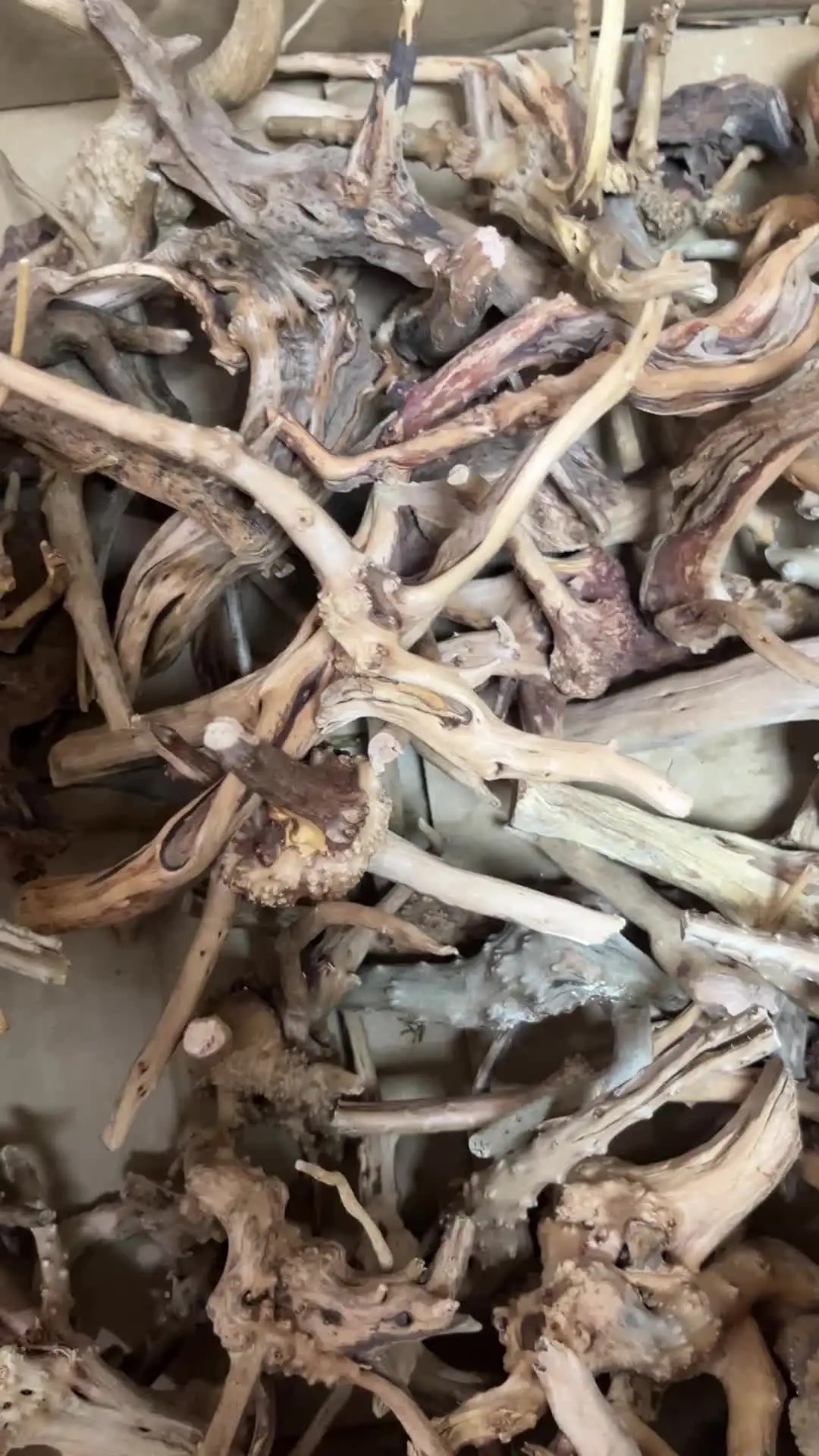Raíces de cuco de madera flotante Natural, tronco de árbol de madera muerta, Micro paisaje creativo, cilindro de reptil, adorno para pecera, decoración de acuario