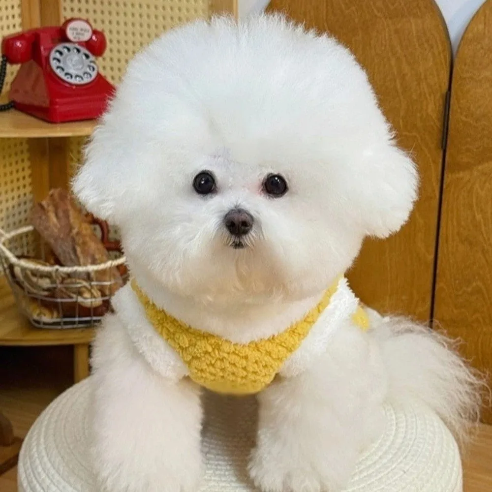 

Cartoon Dog Hooded Vest Rabbit Ear Design Thicken Pet Cross Dressing Clothes Warm with D-ring Dog Towing Suit Outdoor Activities