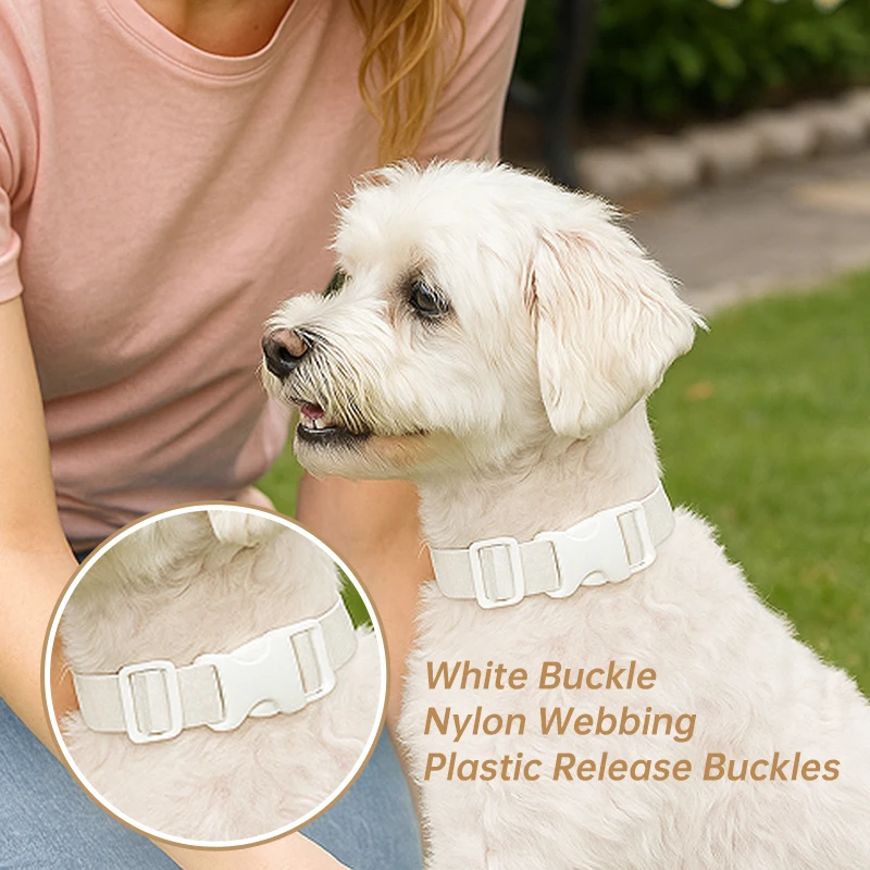 

2/5/10Set 20/25mm Nylon Webbing Strap Pet Collar Tri-Glide Slider Clasp Shoulder Bag Straps Adjust Release Buckle Accessories