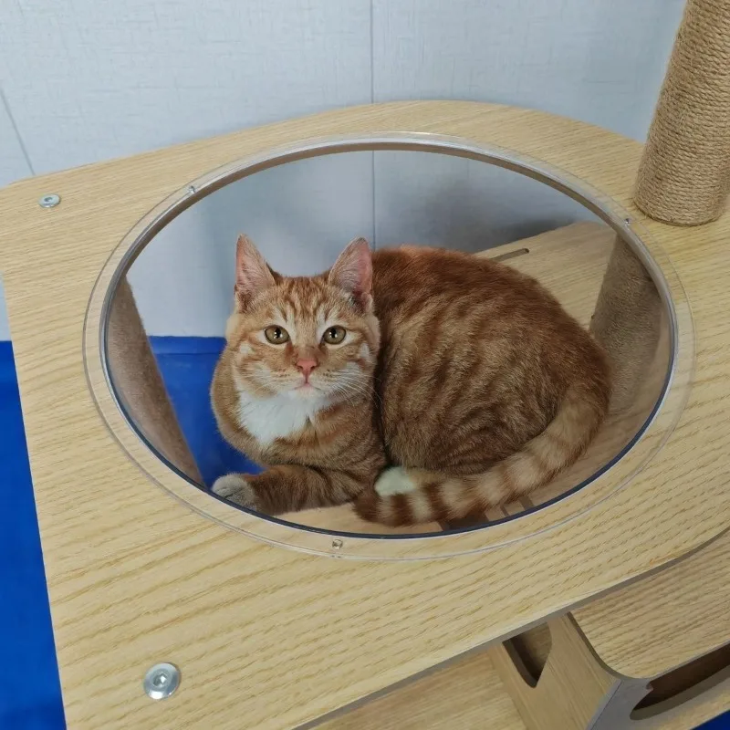 2pcs-acrylic-dome-cat-bubble12-space-transparent-capsule-cover-clear-plastic-dome-bed-replacement-for-cat-tree-window-perch