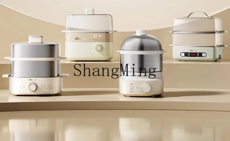 ZYY Home New Breakfast Machine Multifunctional Hot Spring Egg Boiled Egg Artifact