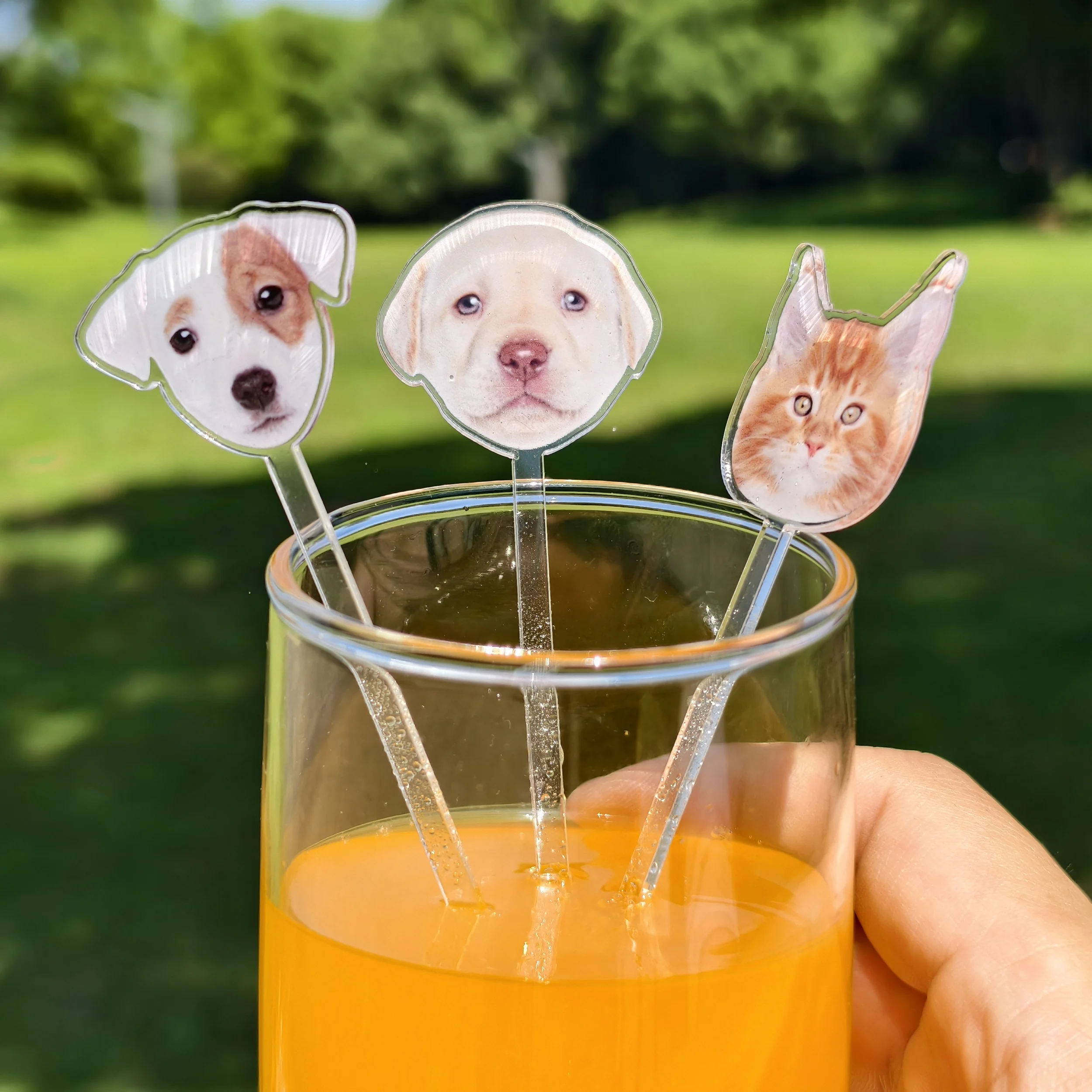 

Personalized Pet Cocktail Stirrers Acrylic Party Drink Stirs Party Favor Table Decoration Wedding Gift Custom photo Drink Stir